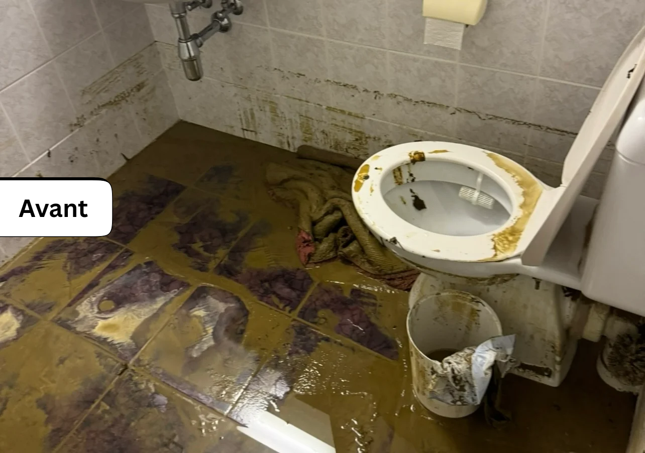 Untitled design - 2025-10-09T214817.138