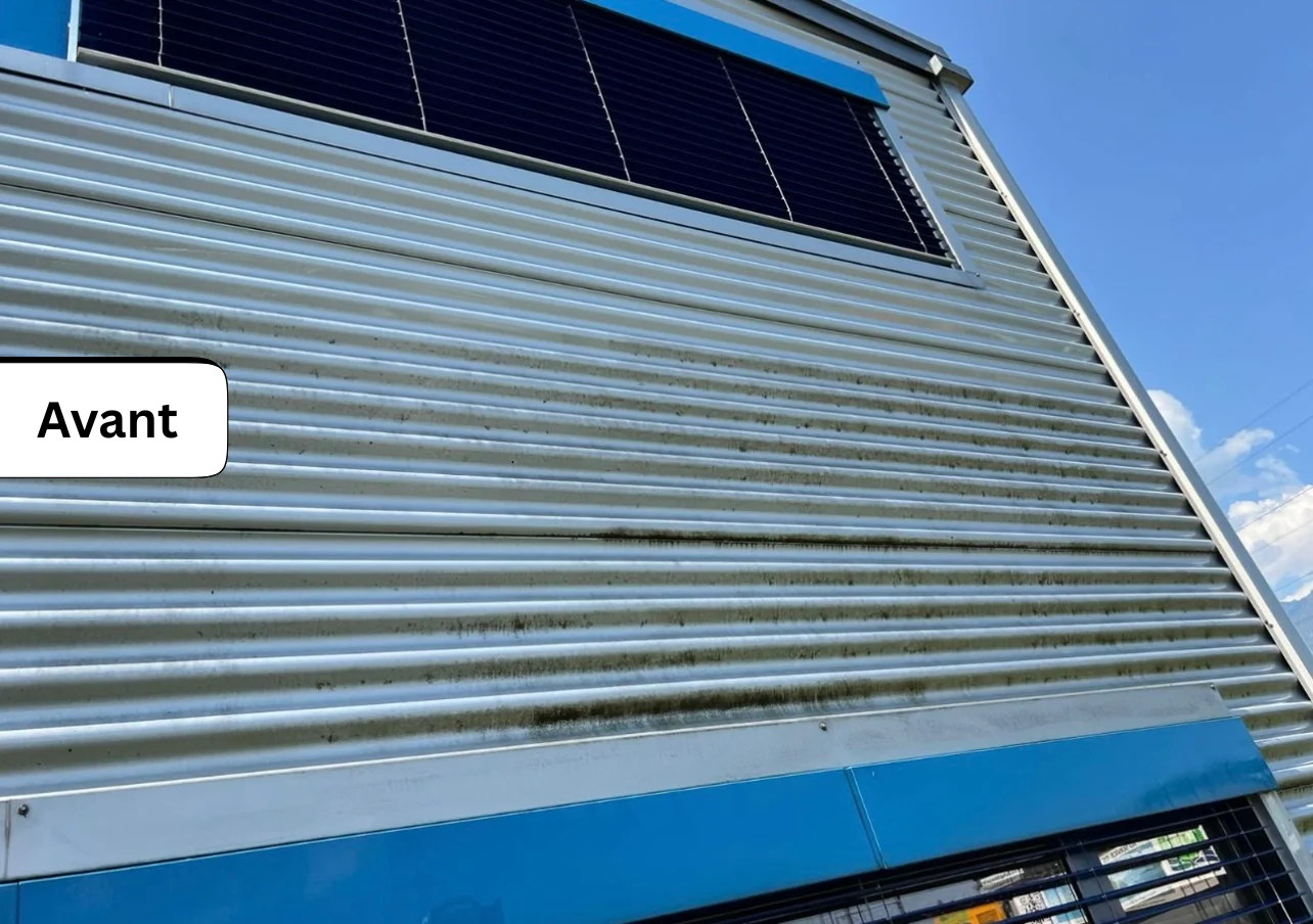 Untitled design - 2025-10-09T215454.568