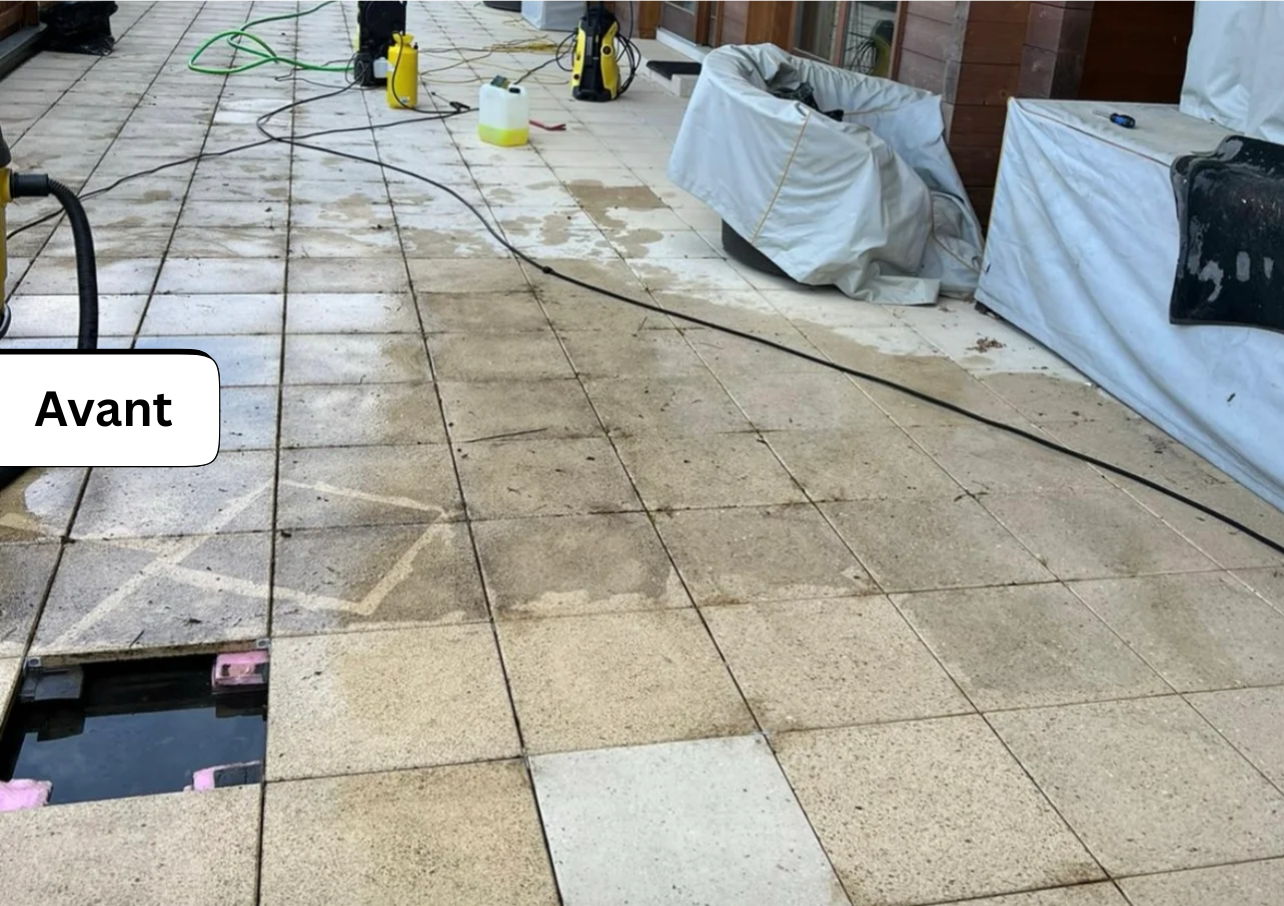 Untitled design - 2025-10-09T215927.888